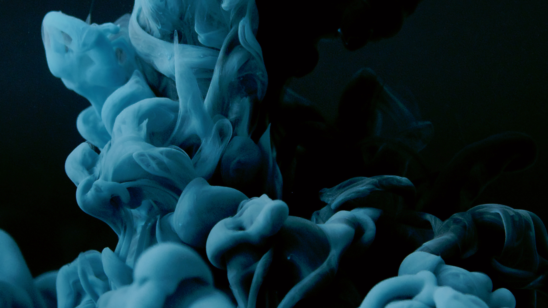 Dark Blue Liquid in Close-up Photography